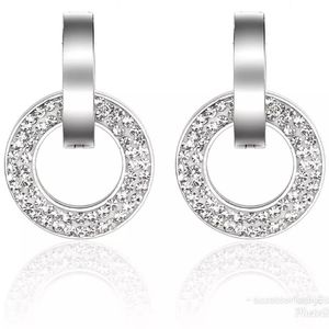 Stainless steel earrings